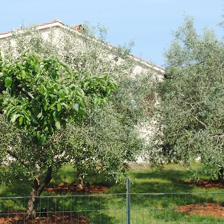 Apartament Holiday Ana Pula