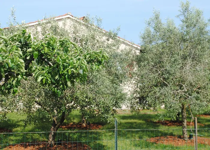 Apartament Holiday Ana Pula